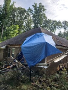 archer restoration, tree damage5