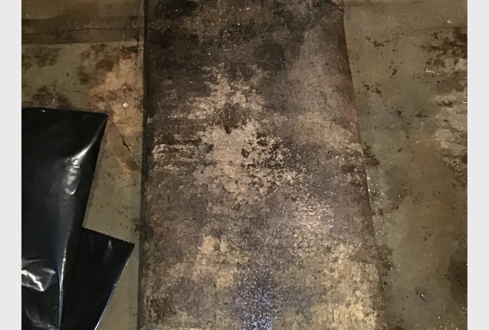 water-mold-damage-restorations