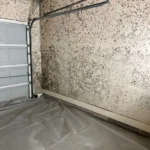 Garage wall covered in mold contamination requiring remediation