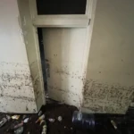 Basement corner with visible mold growth and water damage