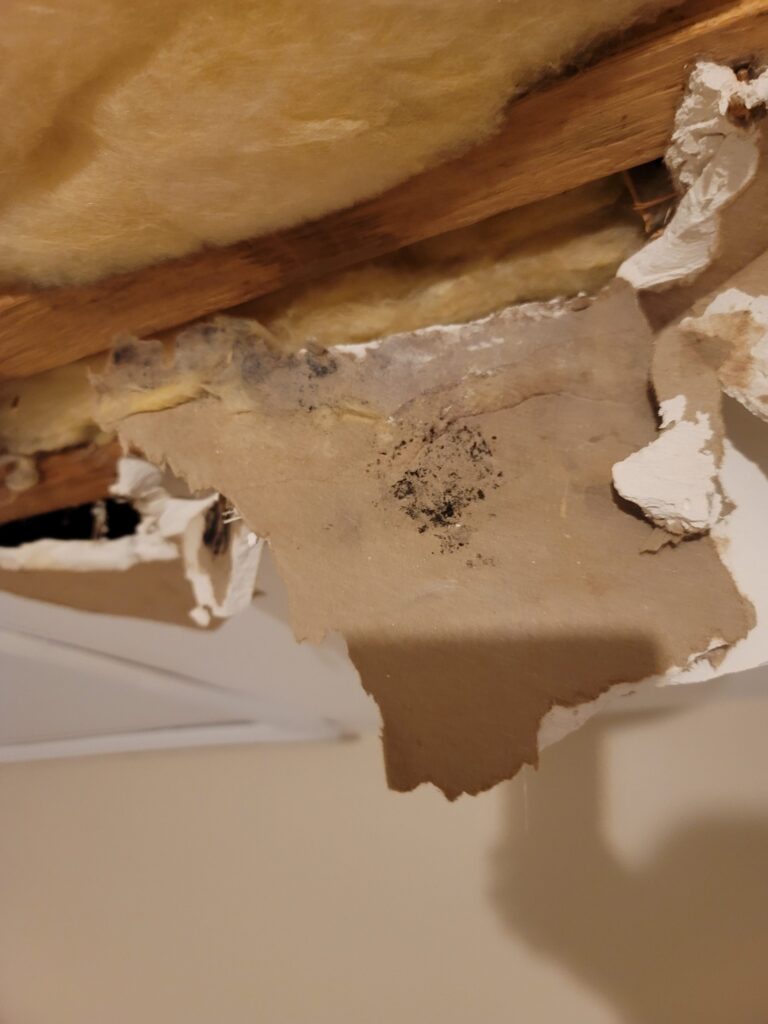 How Your Air Conditioning Unit Can Cause Water Damage