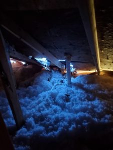 Tree punctured roof causing attic and storm damage