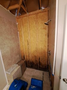 Water damage behind shower after storm roof leak