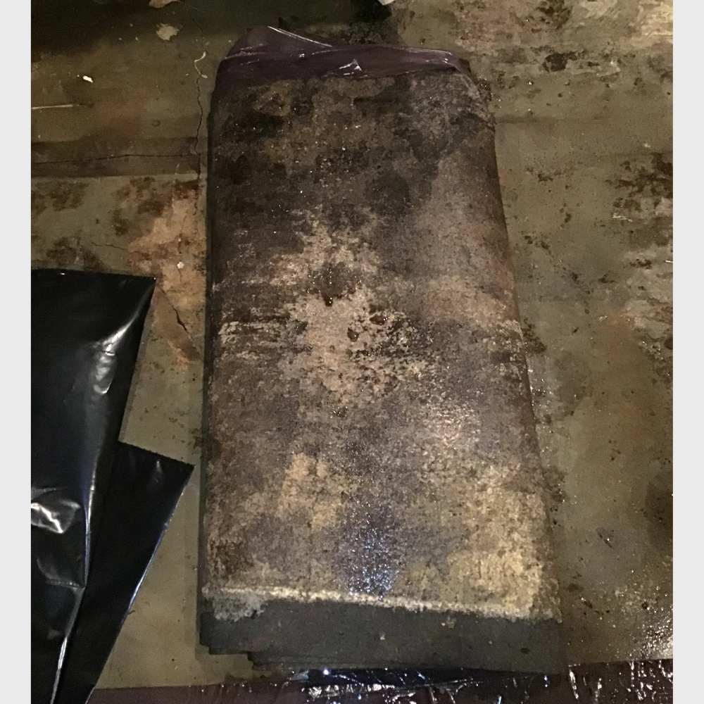 What Can Happen When Toxic Mold Goes Unremediated